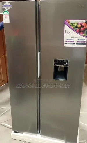 “Roch 439l Side-by-Side Refrigerator With Water Ice Dispenser”