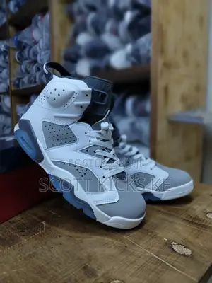 Air Jordan 6 Cool Grey White