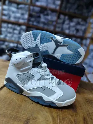 Air Jordan 6 Cool Grey White