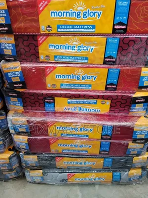 Morning Glory 4x6 High-Density 6′ Quilted Top Mattress