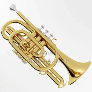 Cornet in Kenya - thumbnail 2