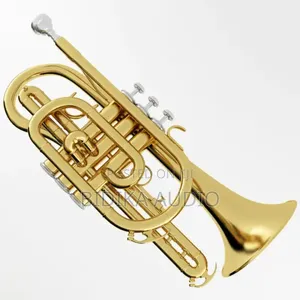 Cornet in Kenya
