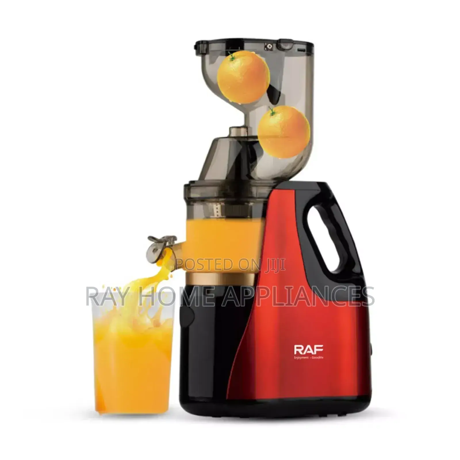 Raf Slow Juicer 250w 400ml