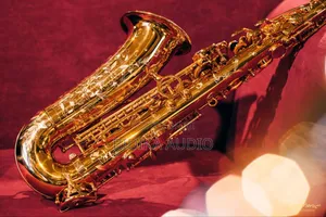 Henri Selmer Alto (White/Blue/Gold/Red Saxophone in Kenya