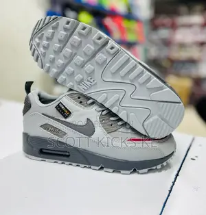 Airmax 90 Grey