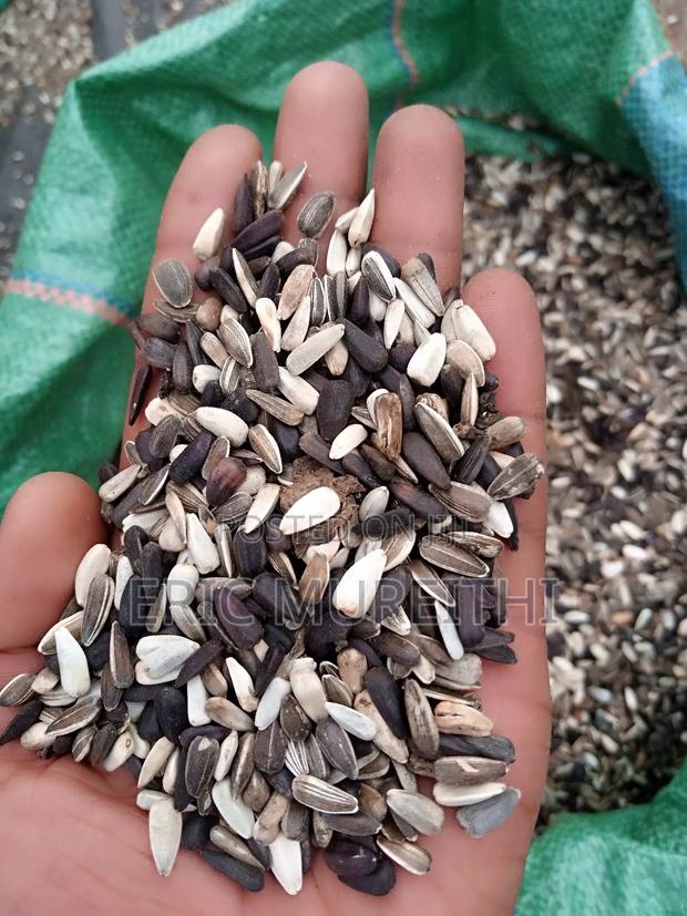 Sunflower Seeds - thumbnail 3