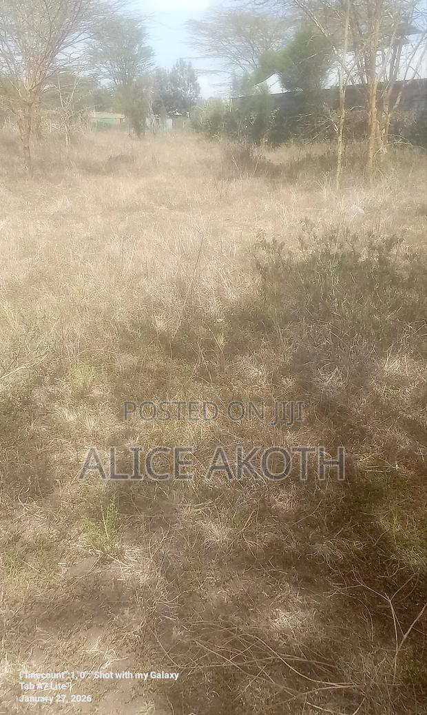 1/4 an Acre for Sale - thumbnail 3