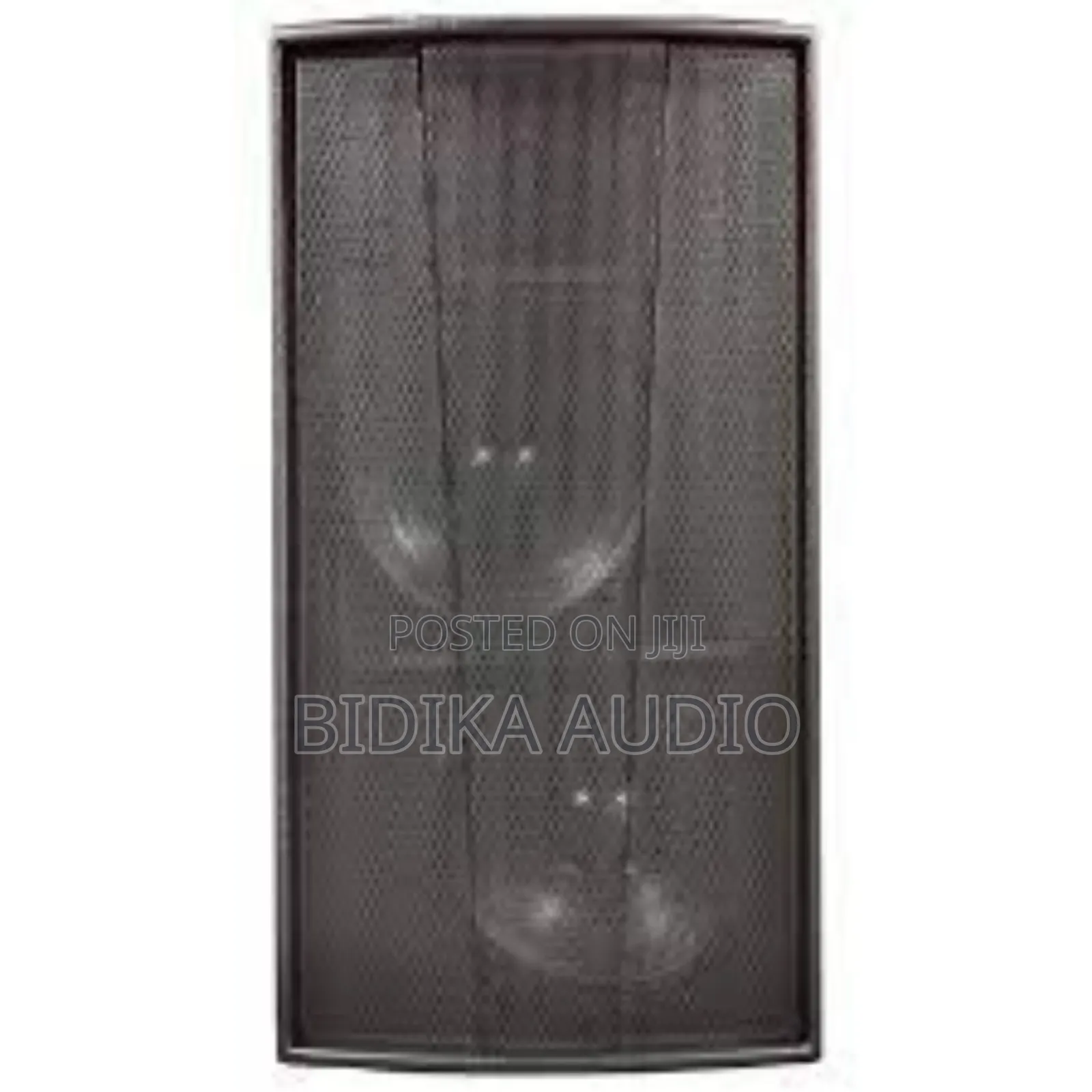 Martin Audio F215 in Kenya