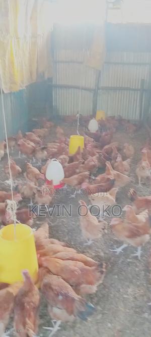 Farm Products - main view