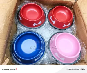 Cat and Dog Feeding Bowls