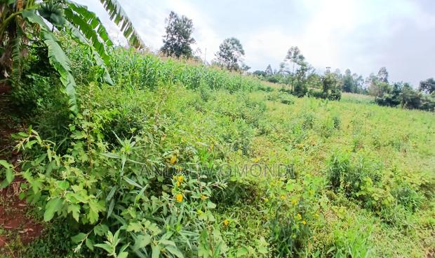 Plot of Land - main view