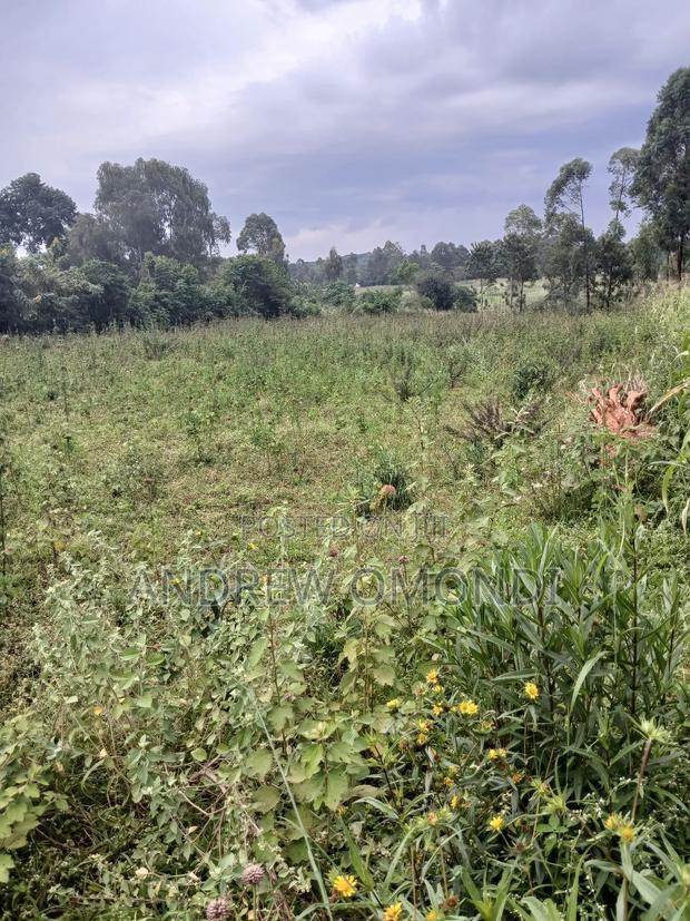 Plot of Land - thumbnail 2