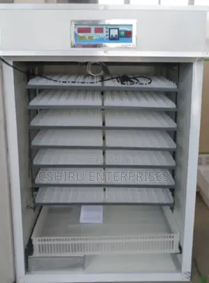 Eggs Incubator