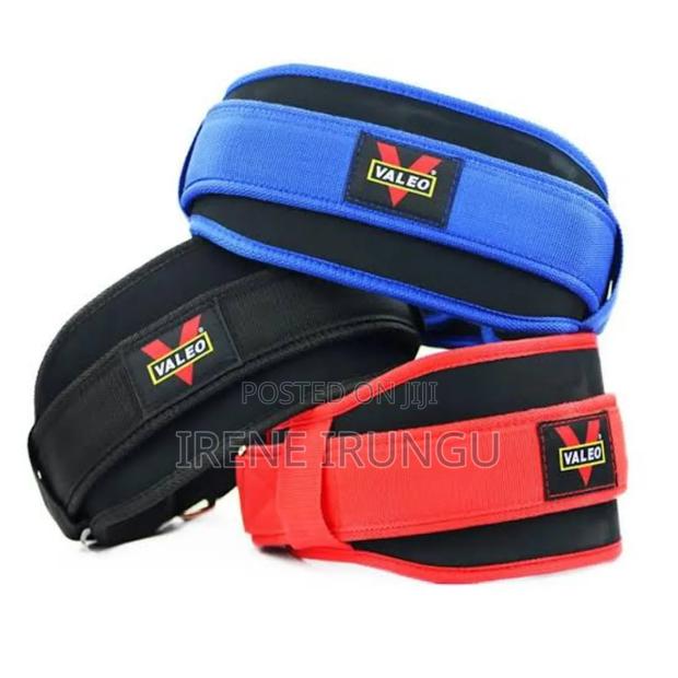Assorted Back Training Belts - main view