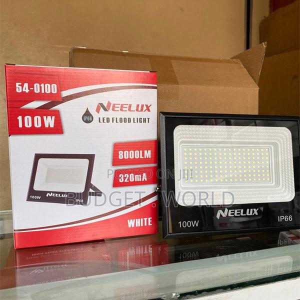Powerful Neelux 100w Outdoor Led Light