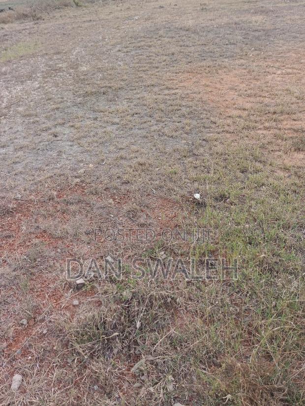 Property . - main view