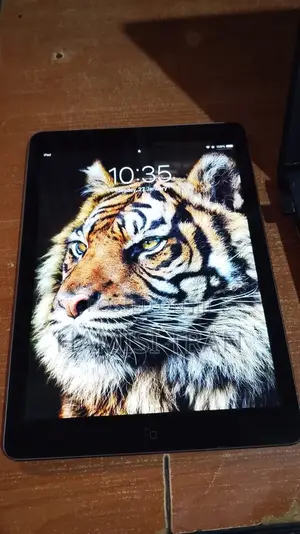 Apple iPad Air 16 GB Silver