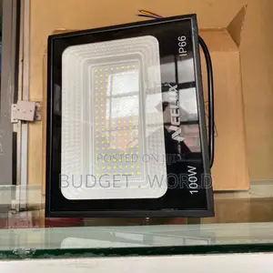 Neelux 100w Led Floodlight for Home Business