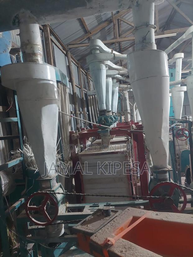 Sifted Maize Flour Milling Plant