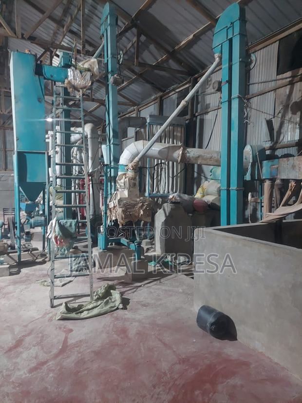 Sifted Maize Flour Milling Plant - thumbnail 2