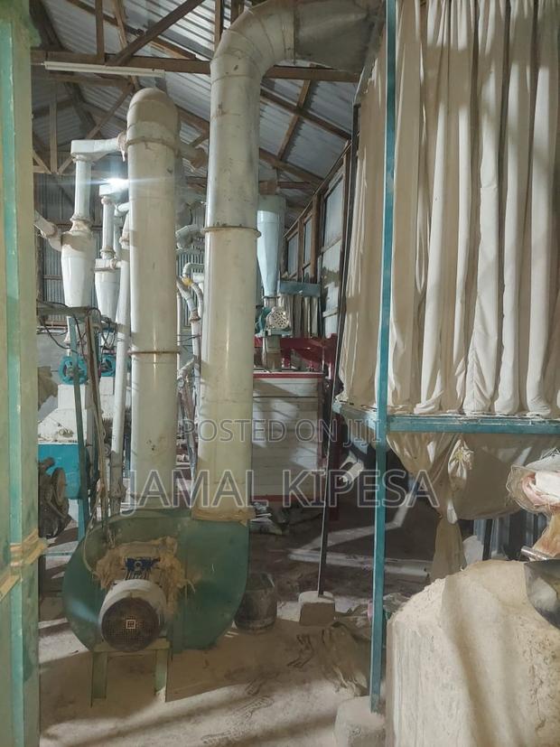 Sifted Maize Flour Milling Plant - thumbnail 3