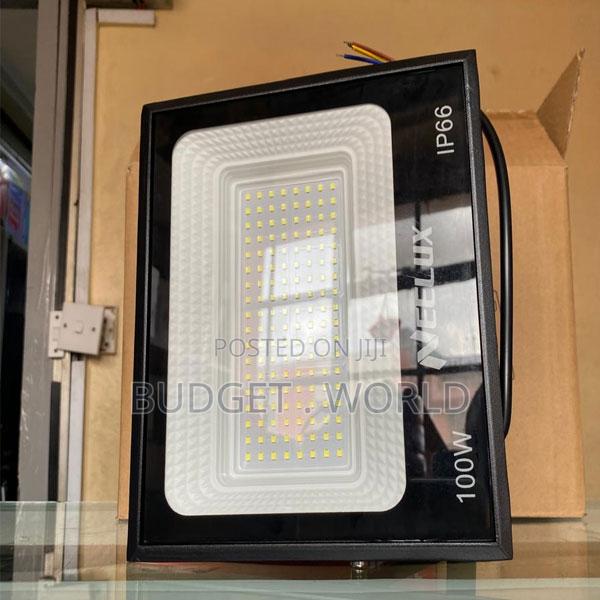 Ultra-Bright Neelux 100w Security Floodlight - main view