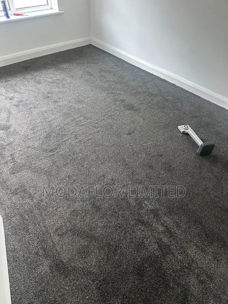 Delta Wall-to-Wall Carpet – Comfortable Everyday Flooring