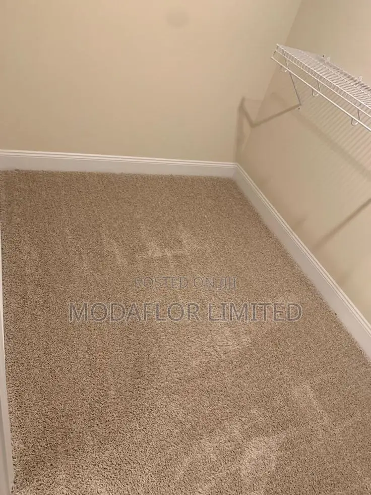 Delta Carpet – Ideal for High-Use Areas