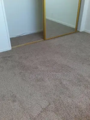 Delta Wall-to-Wall Carpet – Clean Finish, Lasting Comfort
