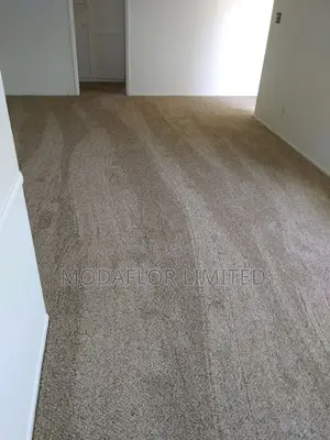 Delta Carpet Flooring – Perfect for Offices Homes