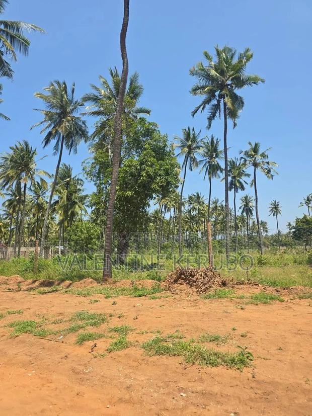 Chumani Kilifi Plots