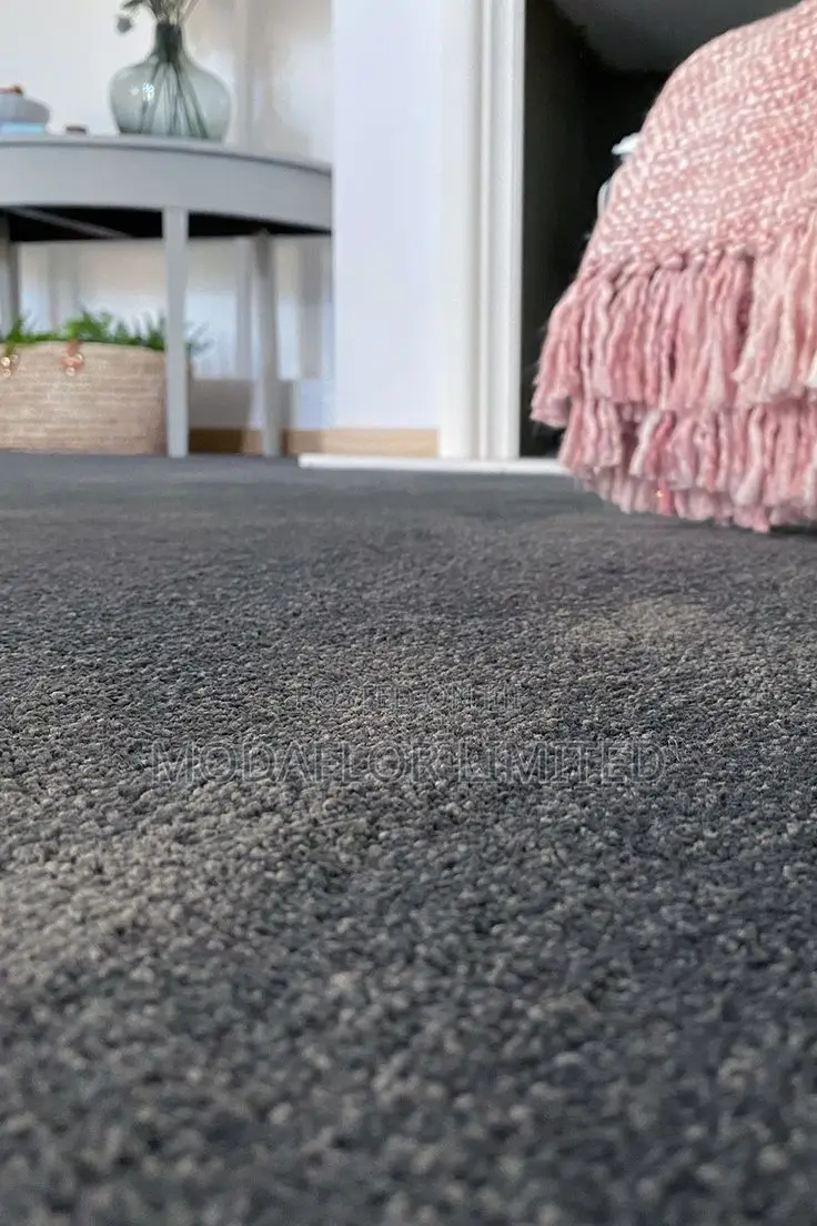 Delta Wall-to-Wall Carpet – Ideal for High Traffic Areas