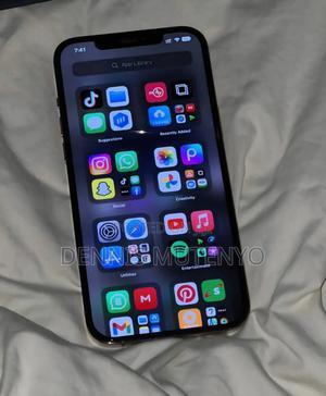 Apple iPhone 11 Pro Max 512 GB Gray - main view