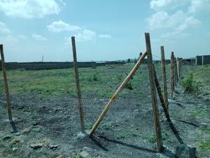 1 Acre Land for Sale - thumbnail 2