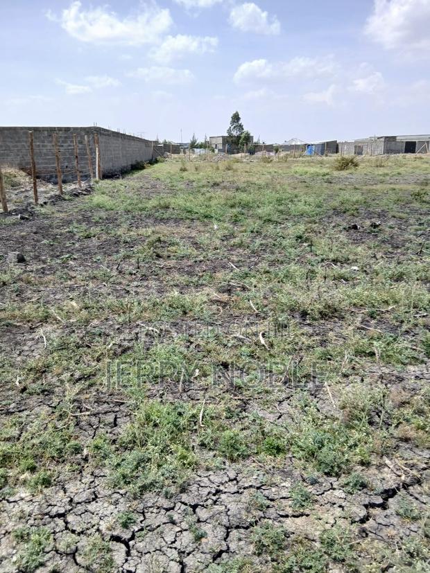 1 Acre Land for Sale - thumbnail 4