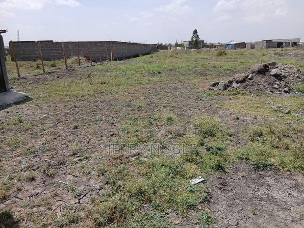 1 Acre Land for Sale - thumbnail 5
