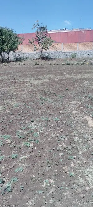 Plots for Sale in Kiserian Town Dani