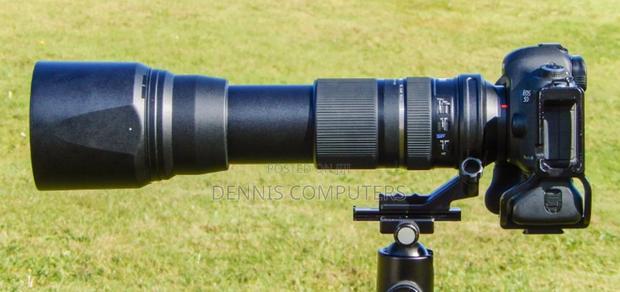 Tamron 150-600mm Lens