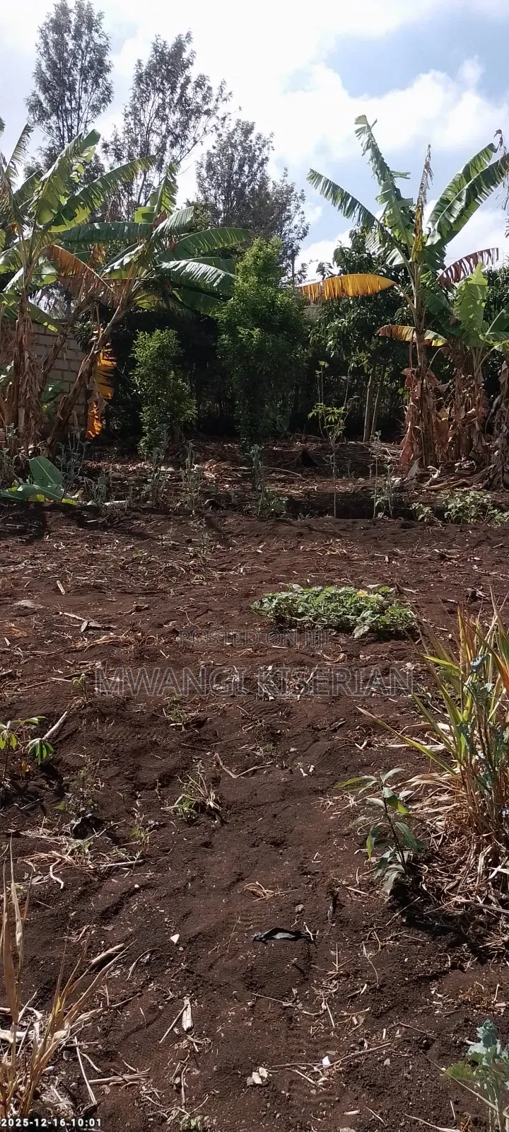 Half an Acre in Kiserian