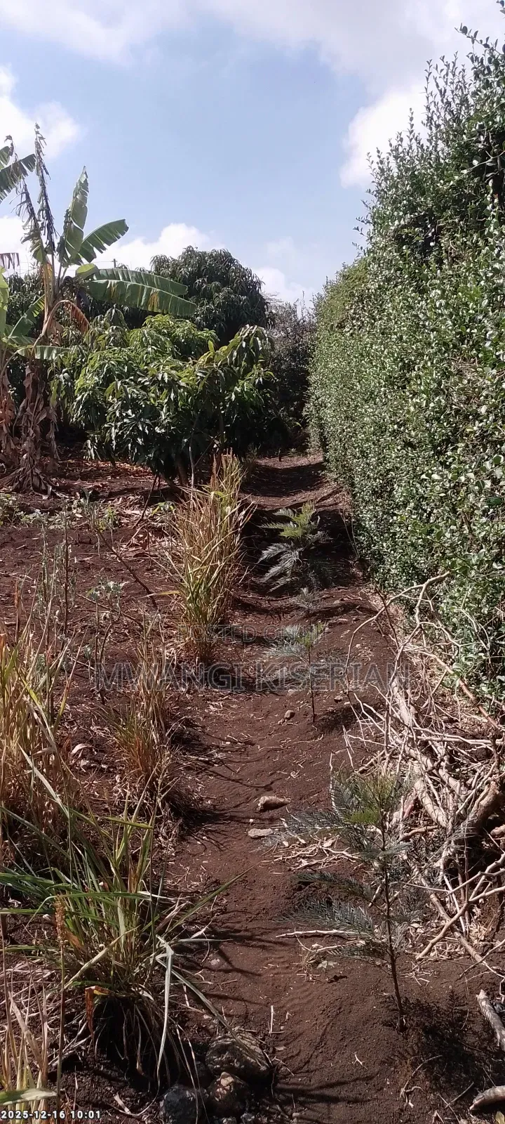 Half an Acre in Kiserian