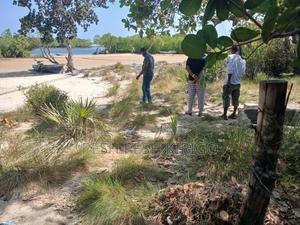 I/2 Acre Beach Land in Funzi Island - main view