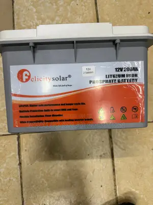 2.56kwh 12.8v Felicity Lithium Battery