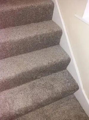Delta Carpet – Everyday Comfort for Any Space