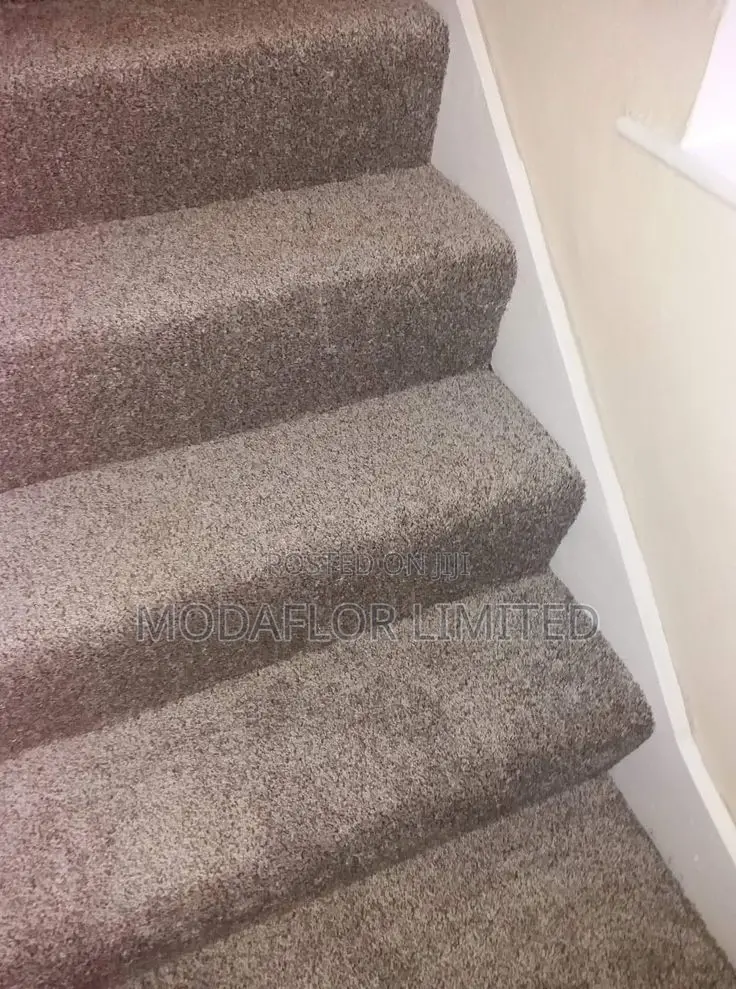 Delta Carpet – Everyday Comfort for Any Space