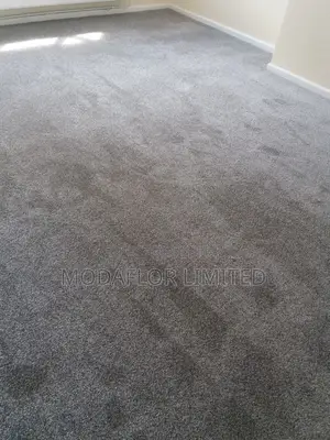 Delta Wall-to-Wall Carpet – Professional Interior Finish