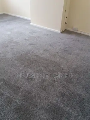 Delta Carpet – Durable Flooring for Busy Spaces