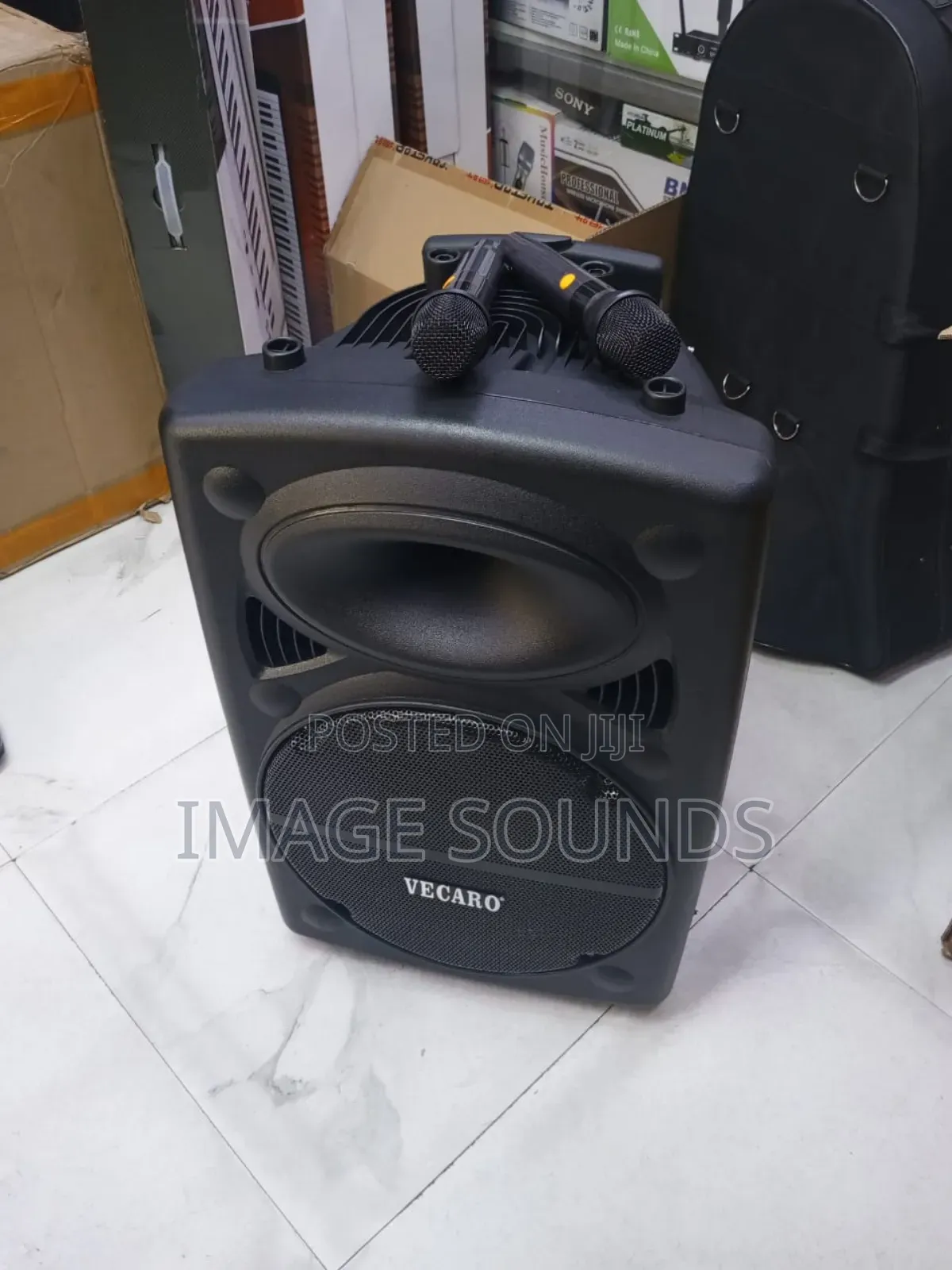 Karaoke System