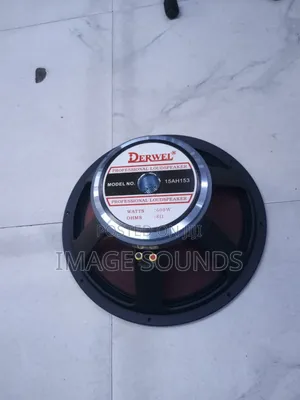 Derwel Mid Speaker (600 Watts)