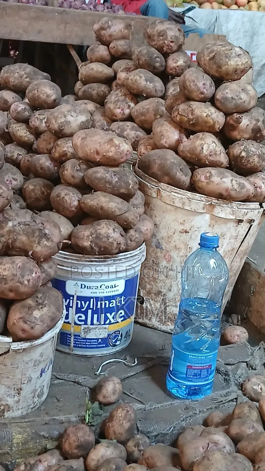 Irish Potatoes