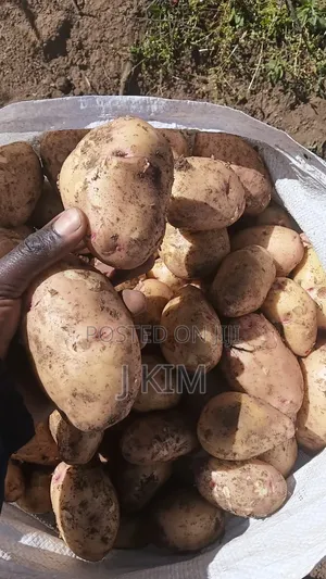 Irish Potatoes